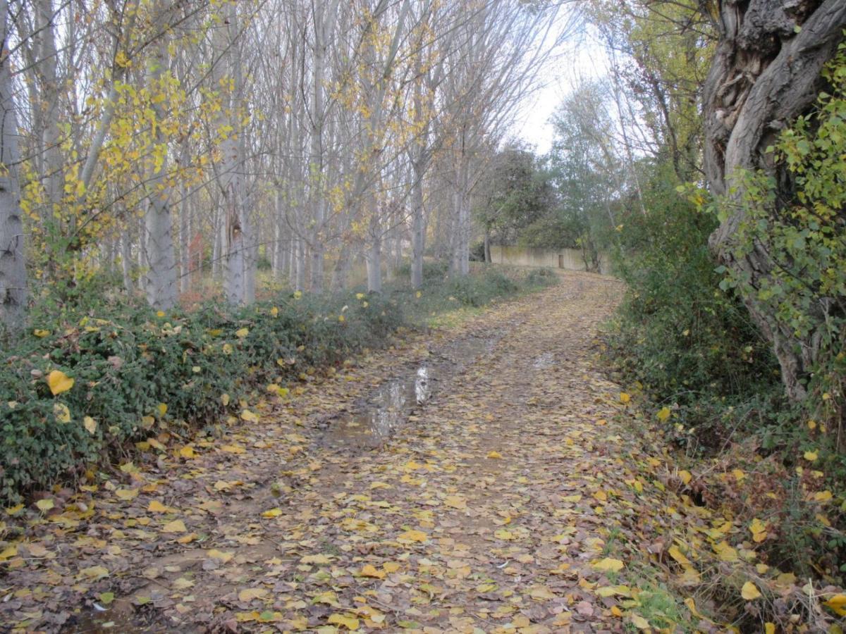 Boleta A 5 Minutos De Leon, Casa Con Jardin Villa San Andrés del Rabanedo Dış mekan fotoğraf